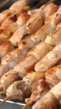 Şişte kızarmış et. Şiş kebap ya da şiş kebap. Yakın plan. Izgara sulu domuz eti ve tavuk etiyle pişirilmiş. Küçük kebaplar, ahşap şişler üzerinde et parçaları, ateşte kızartılmış..
