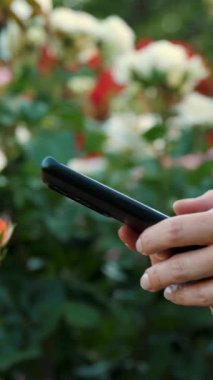 Yan görüş. Akıllı telefondan mesaj yazan bir kızın eli. Çalışan fabrikaların durumunu analiz eder. Santralin arka planına karşı. Gül tarlası. Gül çiçeği. Bahçe. Çalışanım. Genç bir kadının elinin yakın çekimi..