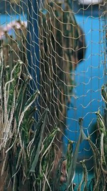 Kamuflaj ağı. Gönüllüler askeri insanlar için yeşil haki kumaş parçalarından bir kamuflaj pelerini örüyorlar. Ukrayna 'da savaş. Gönüllü. Çatışmalar sırasında koruma.