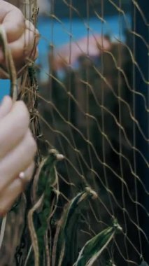 Kamuflaj ağı. Gönüllü asker, askeri insanlar için yeşil haki kumaş parçalarından bir kamuflaj pelerini örüyor. Ukrayna 'da savaş. Gönüllü. Çatışmalar sırasında koruma.