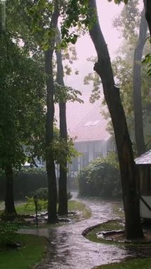 yaz yağmuru, bir fırtına, bir ağır sağanak rekreasyon merkezi bir çam ormanı içinde park. büyük damla aşağı su akar