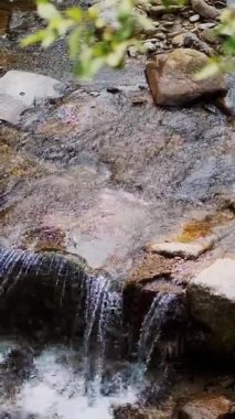 şelale, küçük bir dağ dağ dere, nehir. berrak, temiz, içme suyu. yaz günü, ormanda, dağlarda, Alpler