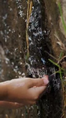 Yakın plan, çocuk eli. Bir çocuk, dağlardan akan bir derenin berrak, şeffaf sularında ellerini yıkar.