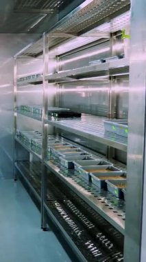 Genç yeşil lahanası küçük kutularındaki, özel bir odasında modern akıllı laboratuvar raflarında toprakta büyüyen. bitkileri yetiştiriciliği çeşitli tahıl tohumları takımıdır büyüyen,