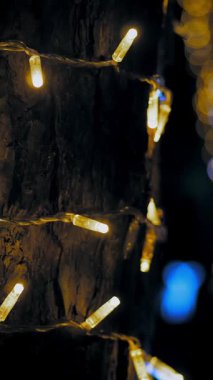 Dekoratif LED ışıklar çelenk. Yakın plan. Altın ışıklar ağaç gövdesini süslüyor, geceleri. Şenlikli, noel süsü. bokeh arkaplanı.