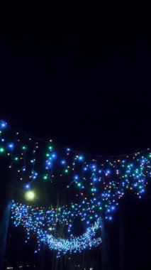 Noel çelengi ışıkları. Güzel, parıldayan, çok renkli çelenkler gece vakti park ve caddeleri süslüyor. Şenlikli, Noel süslemesi.