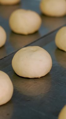 Yemek pişirmek. Fırın ürünleri. Yakın plan. Çörekler için çiğ maya hamuru bir tavada, bitkisel yağla yağlanmış olarak duruyor. Sağlıklı yemek. Güvenlik kavramı. Matarayı yeniden açıyorum. Gönüllülük ve yardım