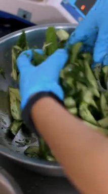 Yemek pişirmek. Yakın plan. Şef koruyucu eldivenlerle büyük bir kasede salata hazırlıyor. Sağlıklı yemek. Güvenlik kavramı. Matarayı yeniden açıyorum. Gönüllülük ve yardım