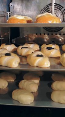 Yemek pişirmek. Fırın. Mutfak. Yakın plan. Hamur çörekleri. Çiğ maya hamur turtaları fırında pişiriliyor, elektrikli fırın..