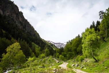 The hiking trail through coniferous and deciduous forest and mountain landscapes. Summer greenery. Gorgeous view of the mountain range and beautiful blue sky background. Wild virgin nature.