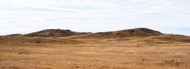 Tibet Platosu manzarası. Bulutlu gökyüzünün arka planında sarı yabani otlar. Kuru tepelerin manzarası. Bulutlu bir günde, ön planda kuru otlar olan ıssız bir ovanın inanılmaz manzarası..