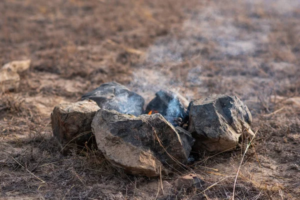 A smoldering bonfire on ground. Make a fire in nature. Stone fire pit in the middle of grass. Camp fire made of stone ring, traditional, authentic camp fire , laid out in a circle, used herders.