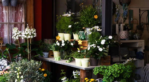 Small local flower shop in France. Local flower shop with beautiful outside display. Small business. Floral design studio, making decorations. Flowers delivery, creation order