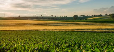 Wide rural landscape sunset panorama, with a field or meadow leading to the horizon and the picturesque clouds. Wonderful scene. Fantastic sunrise over the meadow with colorful clouds on the sky.