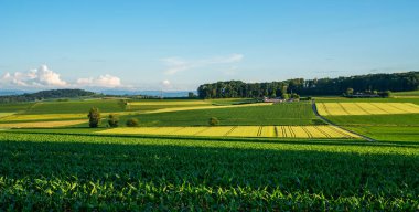 Güzel yeşil ve sarı tepeler. Gün batımı. Gölgeli panoramik manzara. Güney Fransa 'da yaz kırsal arazileri. Tarım arazileri ve harika mavi gökyüzü.