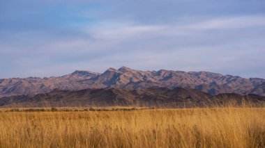 Rocky desert landscape with sparse vegetation and mountains peaks in a blue haze. Typical landscape near at Nepal Tibet border. Flat dry desert with mountains.