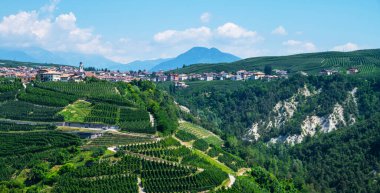 Val di Non 'un yaz sezonundaki panoramik manzarası. Güney Tyrol, İtalya 'nın Trentino-Alto Adige bölgesindeki üzüm bağları ve elma bahçesi manzarası. Arka planda güzel küçük bir Alp köyü.
