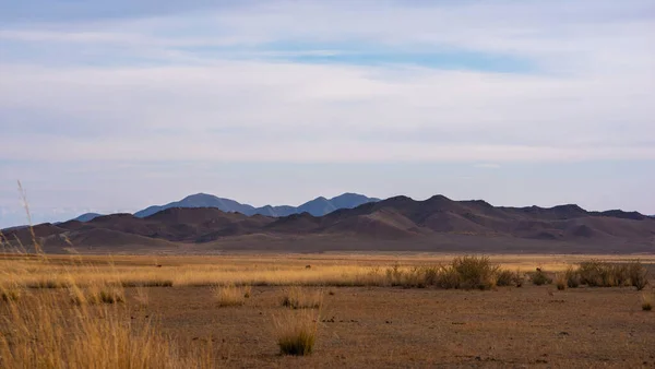 Rocky Desert Landscape Sparse Vegetation Mountains Peaks Blue Haze Typical — Zdjęcie stockowe