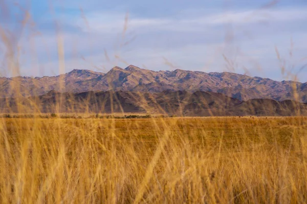Landscape Tibetan Plateau Yellow Wild Grass Backdrop Mountain Range Amazing — 图库照片