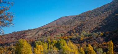 The beautiful autumn landscape. Xianweng mountains landscape.Yichun city, Heilongjiang province, China.The beautiful autumn landscape of Jinlong Mountain of Harbin city, China.