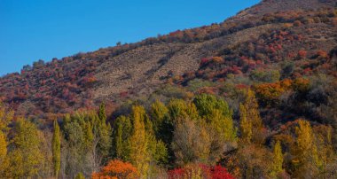 The beautiful autumn landscape. Xianweng mountains landscape.Yichun city, Heilongjiang province, China.
