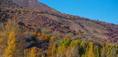 The beautiful autumn landscape. Xianweng mountains landscape.Yichun city, Heilongjiang province, China.