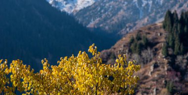 Panorama of a mountain landscape in northern China with snow-capped mountains. Foggy autumn day with first snow in Qitai county Xinjiang Uygur Autonomous Region, China.