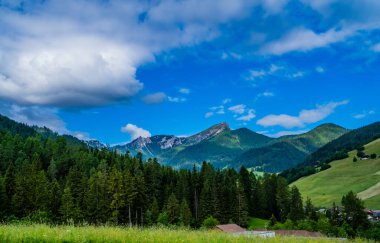 Rural mountain landscape in Italy in the Dolomites. Amazing bright colorful spring and summer landscape. Green blooming fields, wooded mountains and blue sky with clouds. Natural landscape, Europe.