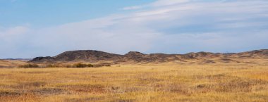 Safari ve çöl maceralarına ya da taştan bir çöl tepesinde bilimsel keşfe ve kuru otlara yolculuk. Kurak arazide egzotik macera ve keşif..