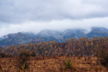Alçak bulutlu sonbahar yağmurlu manzarası ve sonbahar yapraklı ağaçları. Yamaçlardaki kuru çimenler. Göz kamaştırıcı renkli bir sonbahar günü.