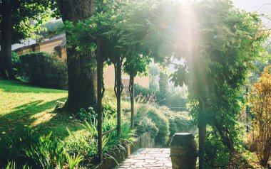 Güzel yaz mevsiminde gün doğumu ışınları Taş yolu olan güzel bir bahçe.