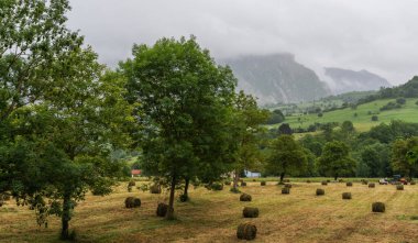Sonbahar mevsiminde bir dağ çiftliğinde saman yığınları olan küçük bir tarlanın manzarası. Bulutlu bir gökyüzüne karşı kırsal alan. Buğday hasadı.