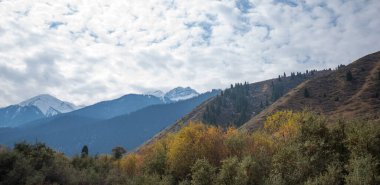 Dağlarda güzel bir sonbahar öğleden sonra. Sonbahar renklerinde bir tepenin kenarındaki ağaçlar. Kır yolu bulutlu havada.