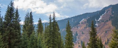 Dağlarda güzel bir sonbahar öğleden sonra. Sonbahar renklerinde yamacın kenarındaki ağaçlar. Bulutlu havada güzel bir kırsal.