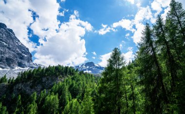 Alpler 'in manzarası. Karla kaplı dağ tepeleri ve güzel çayırlar. Özgürlük, turizm, seyahat. Arka planda beyaz bulutlar ve mavi gökyüzünün zirveleri. Yamaçlarda yeşil tepeler ve sık ormanlar.