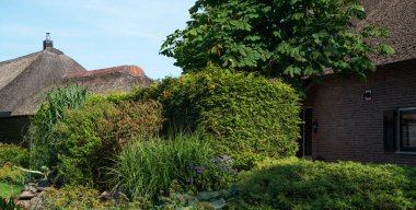Hollanda, Giethoorn 'un bahçeli tipik evleri. Kasaba 