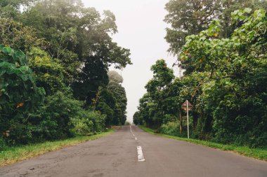 Bali 'nin tropik bölgelerinde ıslak bir yol. Yağmur sonrası yağmur ormanlarında yol ormanı, yeşil bir çevre, klasik filtreli açık hava manzarası..