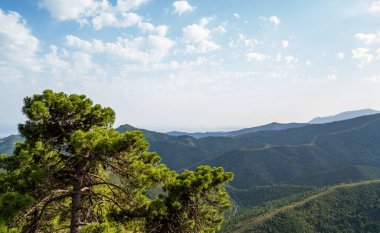 İspanya 'nın Sierra Nevada Ulusal Parkı' nda yaz sahnesi. Güzel manzara. Güzel yerlere seyahat etmek.