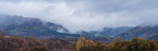 Jesienny Deszczowy Krajobraz Niskimi Chmurami Drzewami Jesiennymi Liśćmi Sucha Trawa — Zdjęcie stockowe