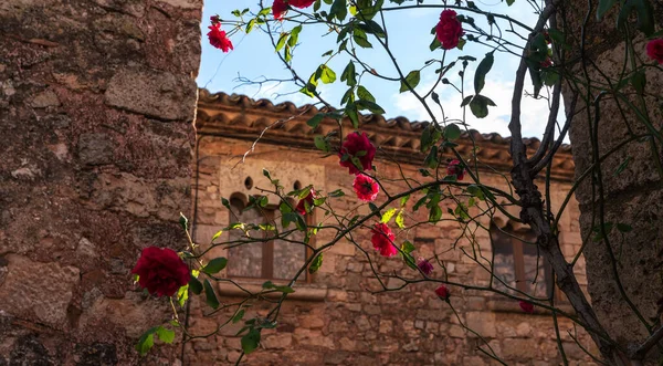 Stare Kamienne Domy Malowniczym Średniowiecznym Mieście Ciurana Tarragona Hiszpania Znajduje — Zdjęcie stockowe