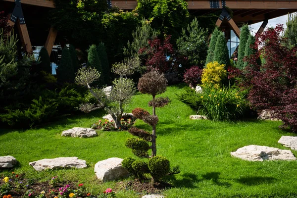Πλούσιο Πράσινο Βοτανικό Κήπο Ανθισμένα Ανοιξιάτικα Λουλούδια Και Μονοπάτι Γκαζόν — Φωτογραφία Αρχείου