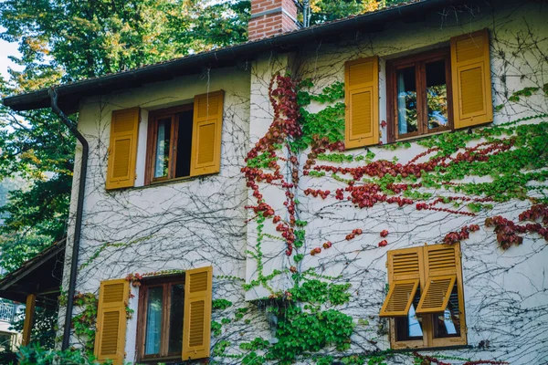 Eski Moda Bir Fransız Köy Evinin Sokak Manzarası Pencerelerinde Ahşap — Stok fotoğraf