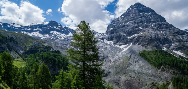山の中腹の森を通ってつながる曲がりくねった道 驚くほど明るいカラフルな春と夏の風景 雪のピークと緑の木々や青空 自然景観 ヨーロッパ — ストック写真