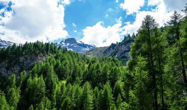 アルプスの風景です 雪の山の峰や美しい牧草地キャップ 白い雲と青い空の背景にピーク 斜面に緑の丘や鬱蒼とした森 — ストック写真