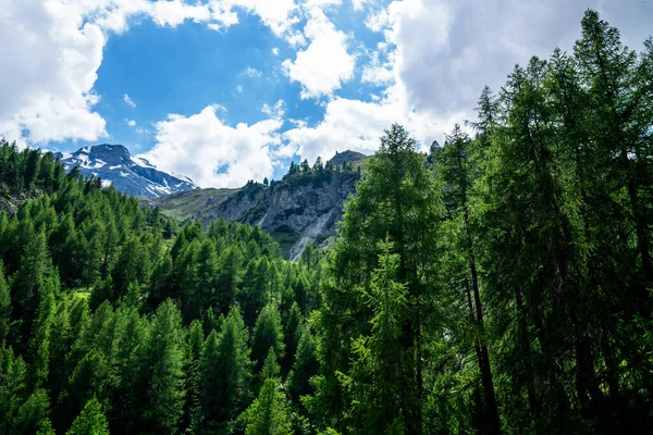 Ландшафт Альп Засніжені Гірські Вершини Прекрасні Луки Свобода Туризм Подорожі — стокове фото