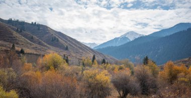 Dağlarda güzel bir sonbahar öğleden sonra. Sonbahar renklerinde bir tepenin kenarındaki ağaçlar. Kır yolu bulutlu havada.