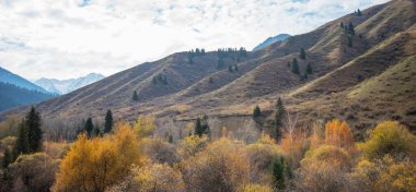 Dağlarda güzel bir sonbahar öğleden sonra. Sonbahar renklerinde bir tepenin kenarındaki ağaçlar. Kır yolu bulutlu havada.