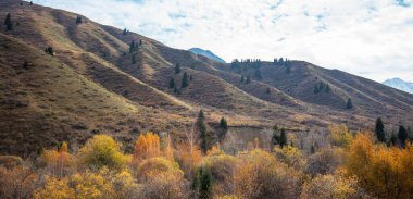Dağlarda güzel bir sonbahar öğleden sonra. Sonbahar renklerinde bir tepenin kenarındaki ağaçlar. Kır yolu bulutlu havada.