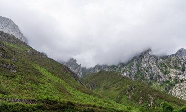 Picos de Europa Ulusal Parkı 'ndaki Rocky dağları, bulutlu yağmurlu bir günde, alçak bulutlar, canlı bahar yaprakları ve çimlerle kaplıdır. Asturias, İspanya.