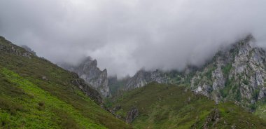 Picos de Europa Ulusal Parkı 'ndaki Rocky dağları, bulutlu yağmurlu bir günde, alçak bulutlar, canlı bahar yaprakları ve çimlerle kaplıdır. Asturias, İspanya.